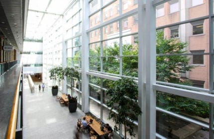 MaRS Announces Women in Cleantech Challenge Finalists